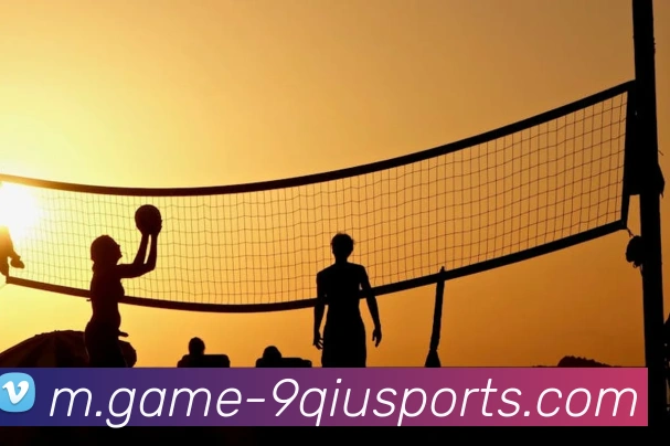 体育下注平台生态图